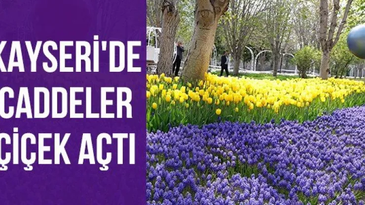 Kayseri'de caddeler çiçek açtı