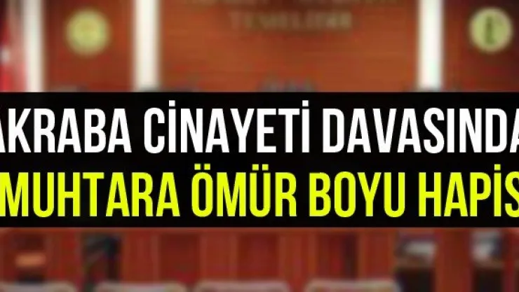 Akraba cinayeti davasında muhtara ömür boyu hapis