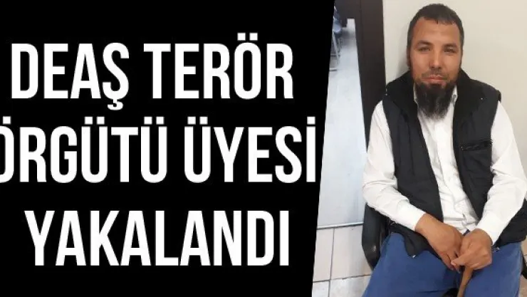DEAŞ terör örgütü üyesi yakalandı