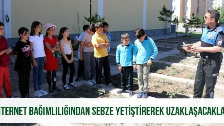 İnternet bağımlılığından sebze yetiştirerek uzaklaşacaklar