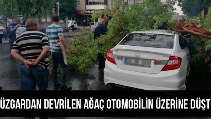 Rüzgardan devrilen ağaç otomobilin üzerine düştü