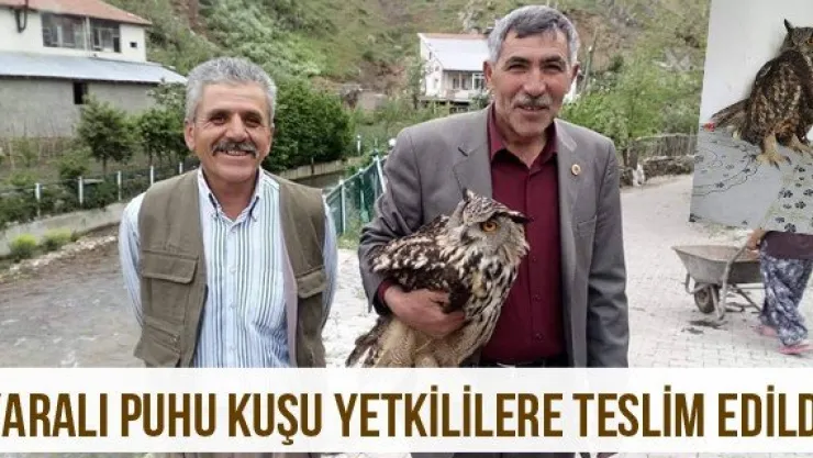 Yaralı Puhu Kuşu Yetkililere Teslim Edildi