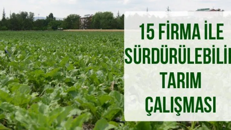 15 Firma İle Sürdürülebilir Tarım Çalışması