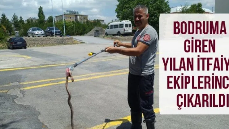 Bodruma giren yılan itfaiye ekiplerince çıkarıldı