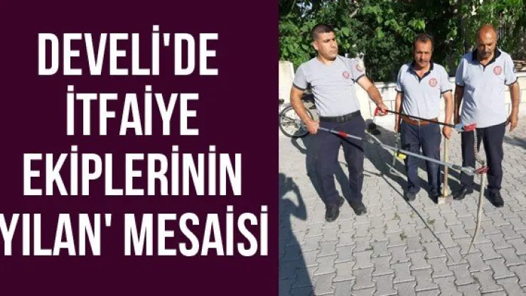 Develi'de itfaiye ekiplerinin 'Yılan' mesaisi