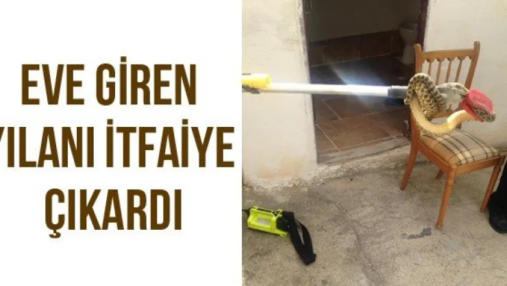 Eve giren yılanı itfaiye çıkardı