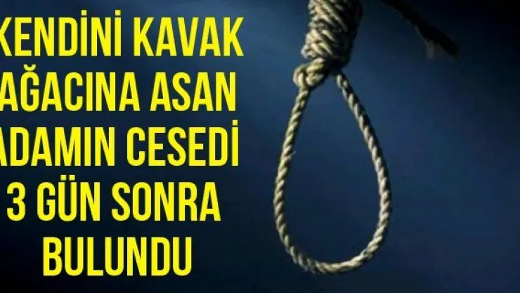 Kendini kavak ağacına asan adamın cesedi 3 gün sonra bulundu
