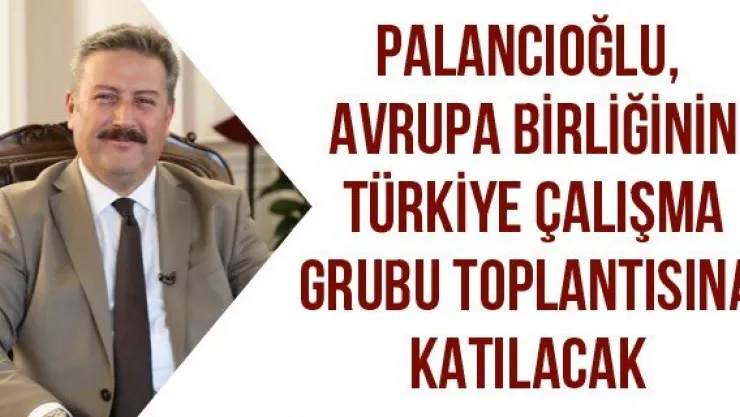 Palancıoğlu, Avrupa Birliğinin Türkiye Çalışma Grubu Toplantısına Katılacak