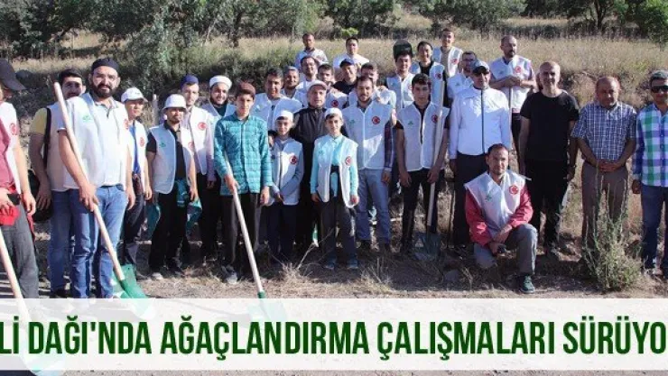 Ali Dağı'nda ağaçlandırma çalışmaları sürüyor