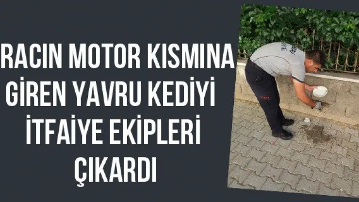 Aracın motor kısmına giren yavru kediyi itfaiye ekipleri çıkardı