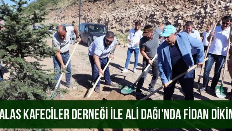 Talas Kafeciler Derneği ile Ali Dağı'nda Fidan Dikimi
