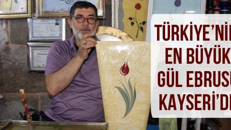 Türkiye'nin en büyük gül ebrusu Kayseri'de