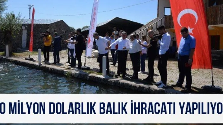 10 milyon dolarlık balık ihracatı yapılıyor