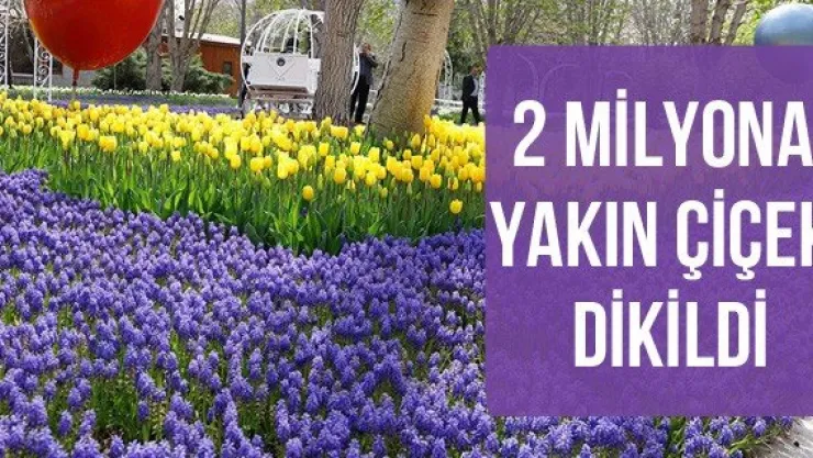 2 Milyona yakın çiçek dikildi