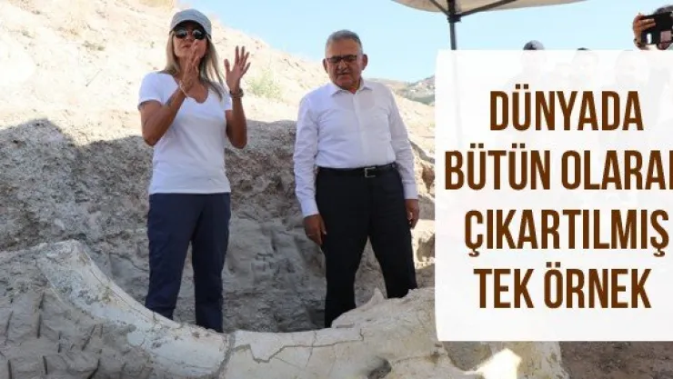 Dünyada bütün olarak çıkartılmış tek örnek