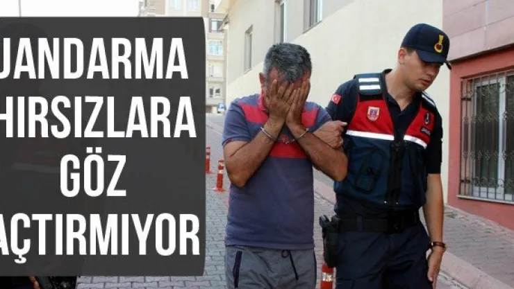 Jandarma hırsızlara göz açtırmıyor