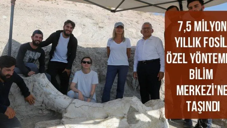7,5 milyon yıllık fosil, özel yöntemle Bilim Merkezi'ne taşındı