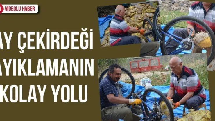 Ay çekirdeği ayıklamanın kolay yolu
