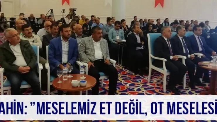 Şahin: 'Meselemiz et değil, ot meselesi'