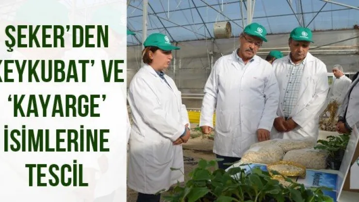 Şeker'den 'Keykubat' ve 'Kayarge' isimlerine tescil