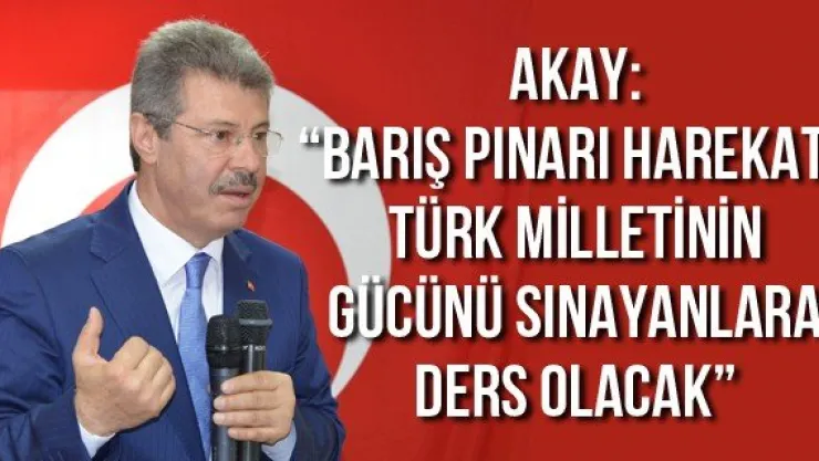 Akay: 'Barış Pınarı Harekatı, Türk milletinin gücünü sınayanlara ders olacak'