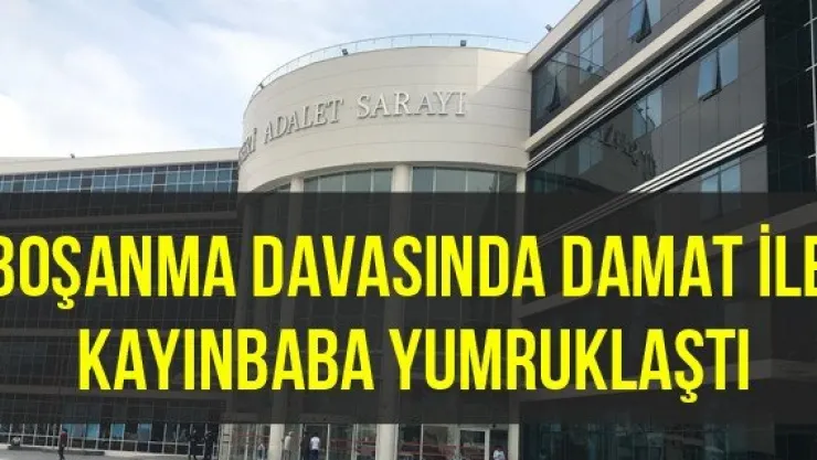Boşanma davasında damat ile kayınbaba yumruklaştı