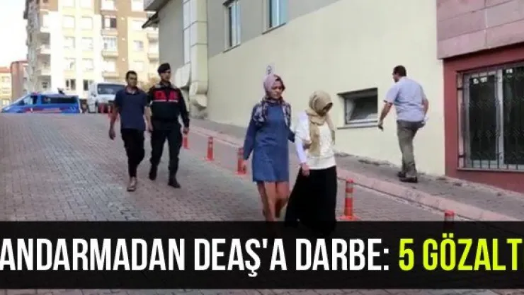 Jandarmadan DEAŞ'a darbe: 5 gözaltı