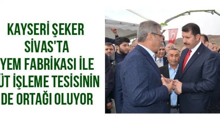 Kayseri Şeker Sivas'ta yem fabrikası ile süt işleme tesisinin de ortağı oluyor