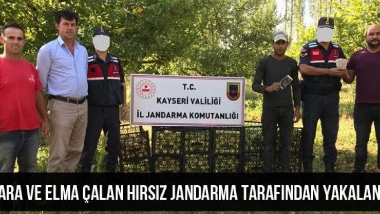 Para ve elma çalan hırsız jandarma tarafından yakalandı
