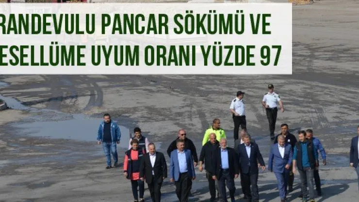 Randevulu Pancar Sökümü Ve Tesellüme Uyum Oranı yüzde 97