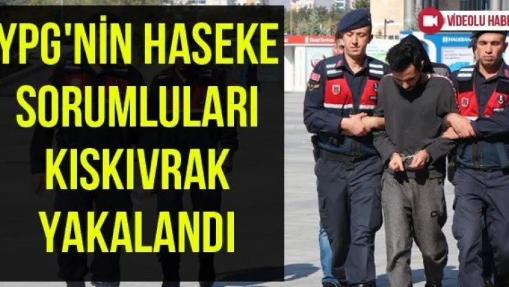 YPG'nin Haseke sorumluları kıskıvrak yakalandı