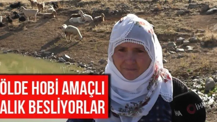 Gölde Hobi Amaçlı Balık Besliyorlar