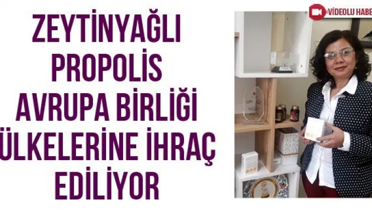 Zeytinyağlı propolis Avrupa Birliği ülkelerine ihraç ediliyor