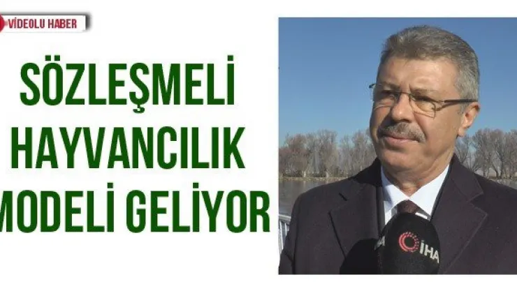 Sözleşmeli hayvancılık modeli geliyor