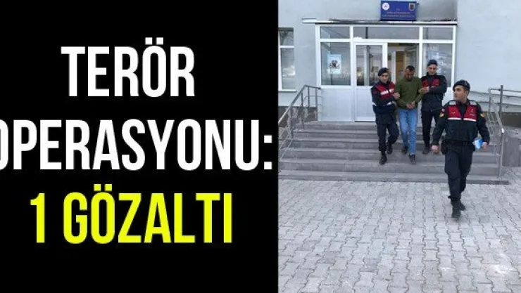 Terör Operasyonu: 1 Gözaltı