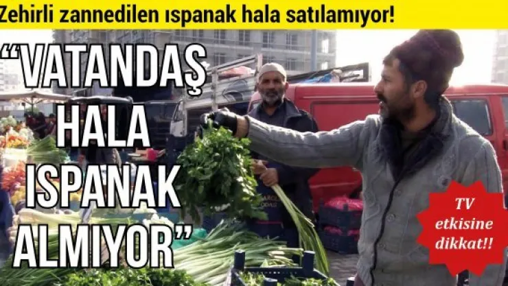 Zehirli zannedilen ıspanak hala satılamıyor!
