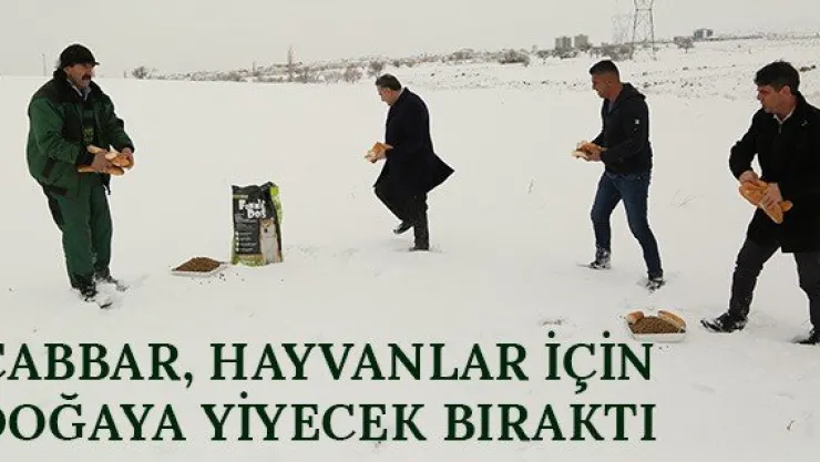 Cabbar, hayvanlar için doğaya yiyecek bıraktı