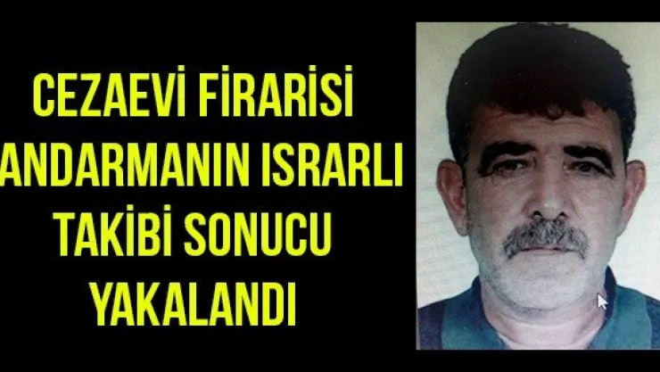 Cezaevi firarisi jandarmanın ısrarlı takibi sonucu yakalandı