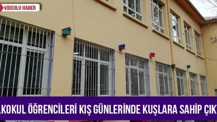 İlkokul öğrencileri kış günlerinde kuşlara sahip çıktı