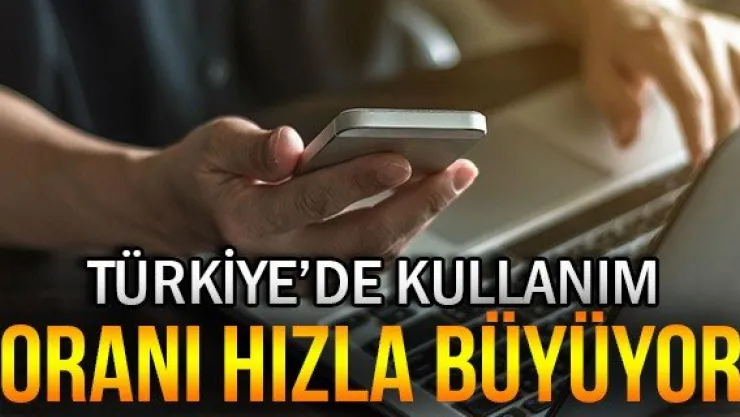 Türkiye'de kullanım oranı hızla büyüyor