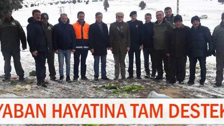 Yaban hayatına tam destek