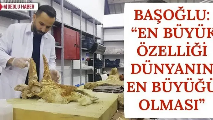 Başoğlu: 'En Büyük Özelliği Dünyanın En Büyüğü Olması'