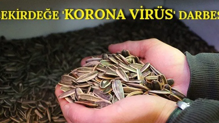 Çekirdeğe 'Korona virüs' darbesi