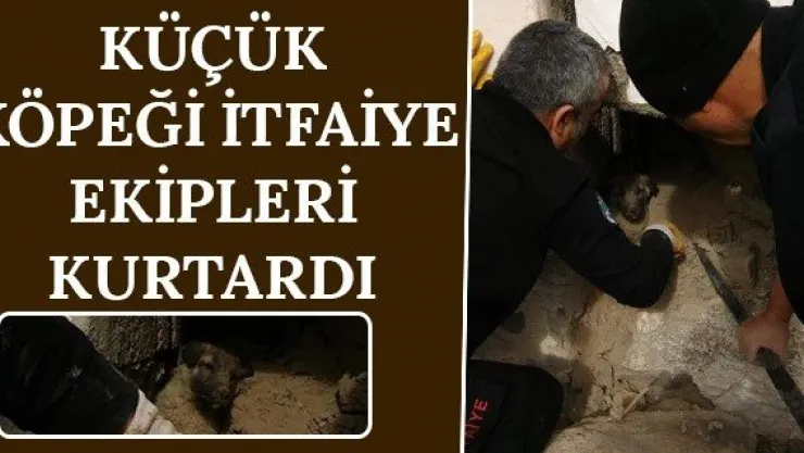 Küçük köpeği itfaiye ekipleri kurtardı
