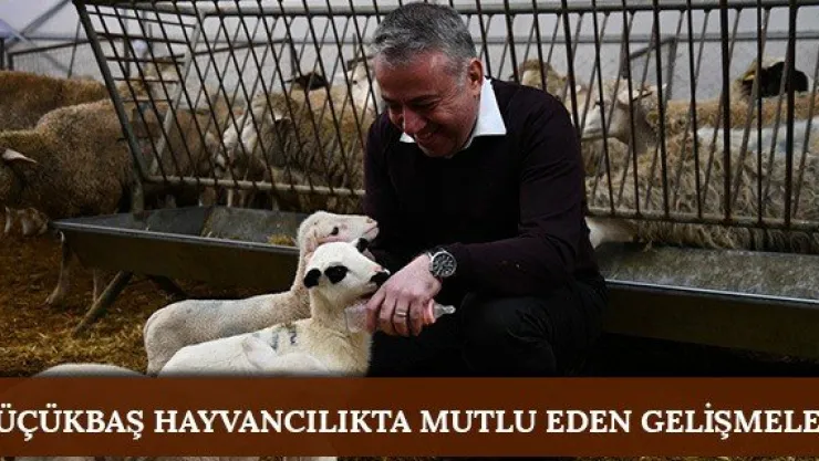 Küçükbaş Hayvancılıkta mutlu eden gelişmeler