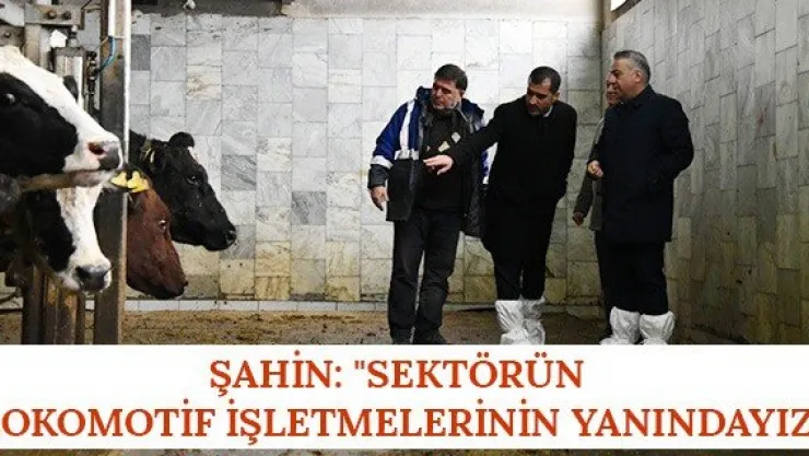 Şahin: &quotSektörün Lokomotif İşletmelerinin Yanındayız"