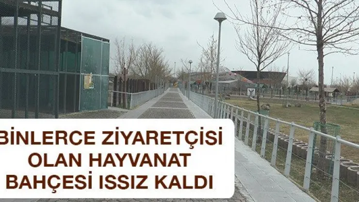 Binlerce ziyaretçisi olan hayvanat bahçesi ıssız kaldı