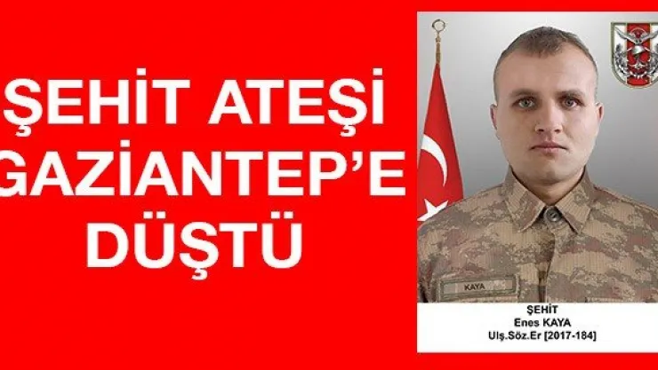 Şehit ateşi Gaziantep'e düştü