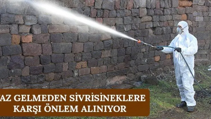 Yaz gelmeden sivrisineklere karşı önlem alınıyor
