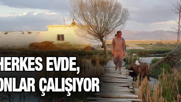 Herkes evde, onlar çalışıyor